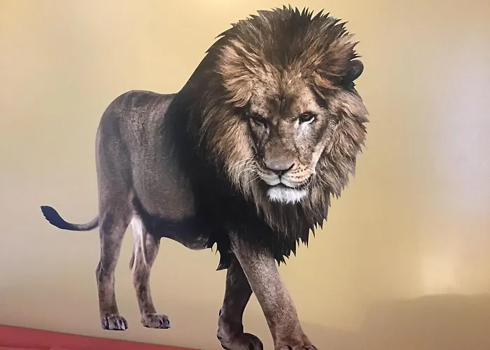 Centre Avec Garage Prive Tatil Evi Honfleur